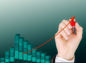 乐鱼vip-意甲青训项目引入情绪管理提升抗压能力研究，意甲青训排名