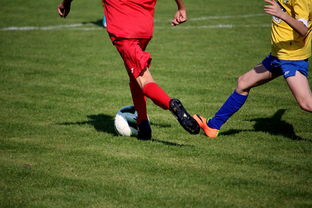 乐鱼娱乐app-篮球训练计划科学制定及执行效果跟踪研究，简述篮球训练计划制定步骤