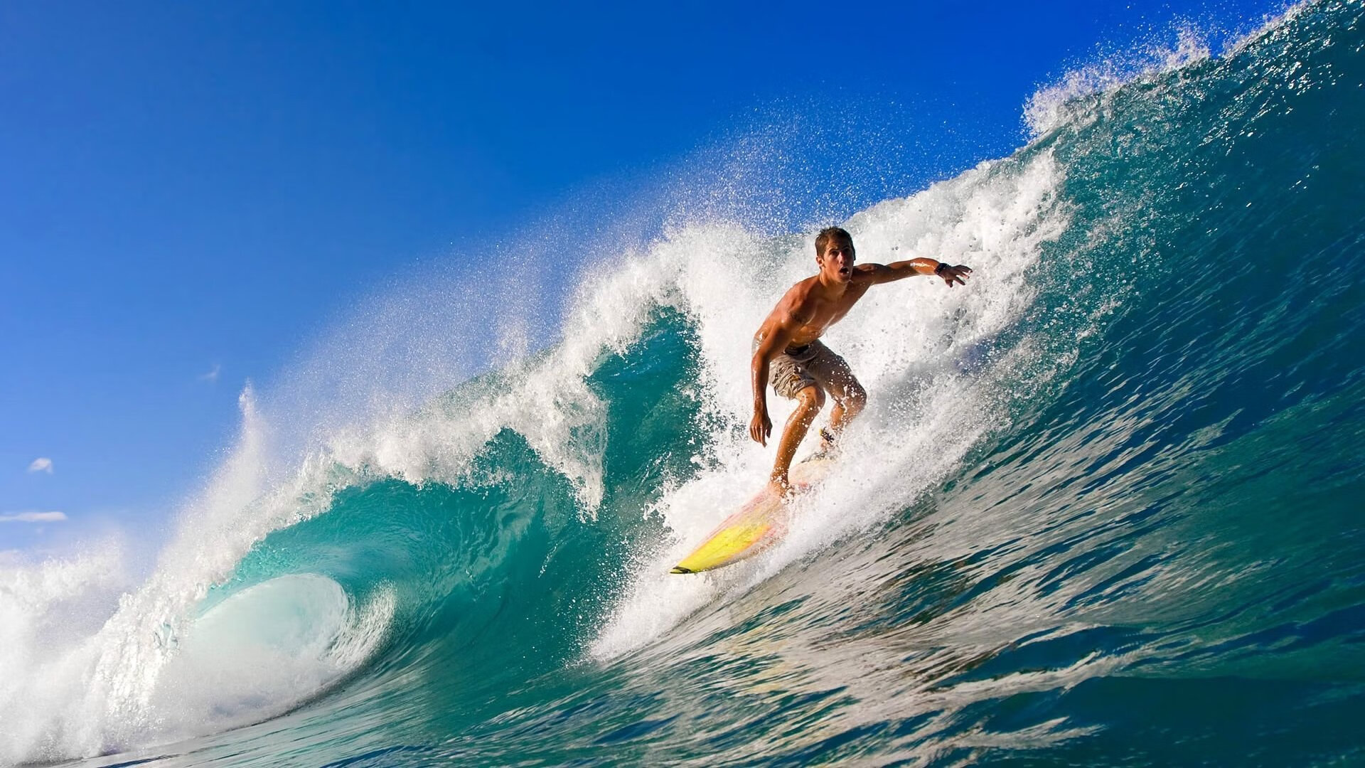 新闻中心发布体育场馆票务优惠政策及使用说明,体育场馆免费开放方案